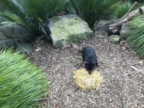 b4d0df7c-8063-41c9-a7f0-0be74fd6ce07