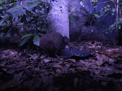 b5c55206-6b3f-4a96-9e96-29a2cdfc0b41