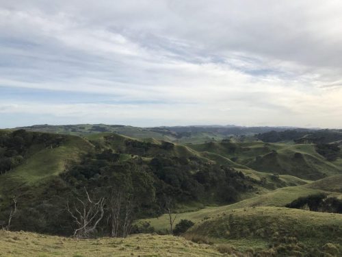 b787a004-bee9-4290-bf96-ce932dba7448