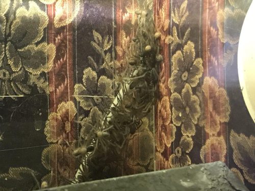 bc46447e-e354-490a-baac-28eb6d084f73