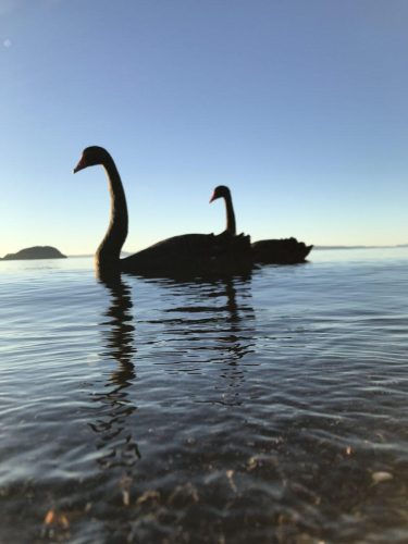 c094b6c5-2268-42b7-b947-8805c991442c