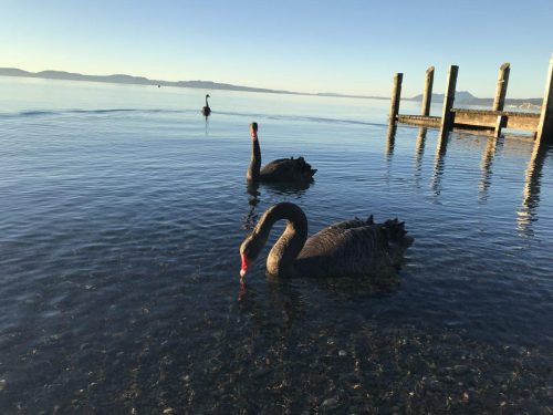 c21767b1-1d46-4be2-add5-cfc1703870f9