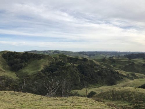 c27d582a-8ca0-458a-b66a-de71d73f762a