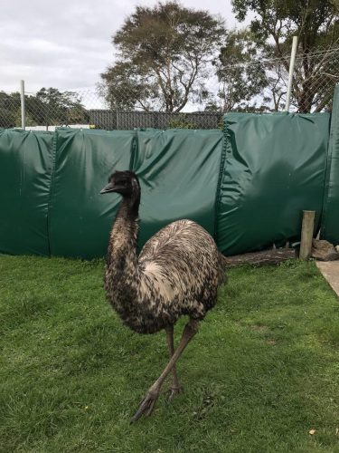 c3c6c527-bc2b-4f15-abd8-8e2b0957efdc