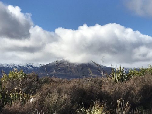 c8d853b5-6f28-4edc-8d1c-cde9dbbb8248