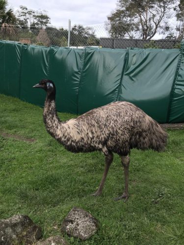 d02e0d06-e99e-4149-8b90-15c276c0ae9e