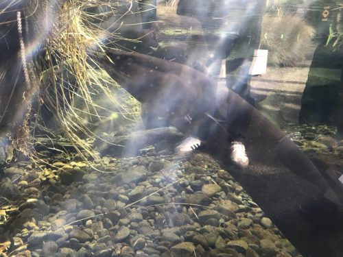 d5dab958-016b-40bb-a7ea-52a9681fdbee