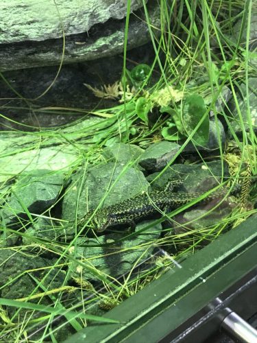 d67bfaa7-7bd6-4f4d-bf6a-70cdce569126