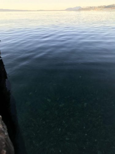 dda9c8fa-15b1-4031-b6fc-5d1ddb0d4e78