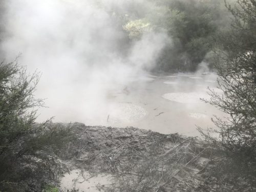 e8917b81-06e5-450f-9cb7-ce1b92ca34da