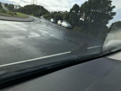 eae4e6e3-e890-4115-89ae-7be4d886a04d