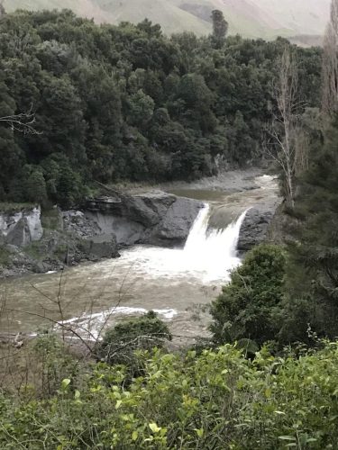 ef556a59-ec8a-460f-940c-ba0b8de56ac5