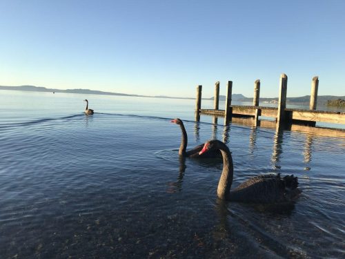 eff42dd0-bb3a-4d43-9873-d8b3288d14bb