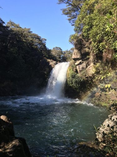 f0c8e78c-1643-49af-ae9b-ae6e7747d5f2