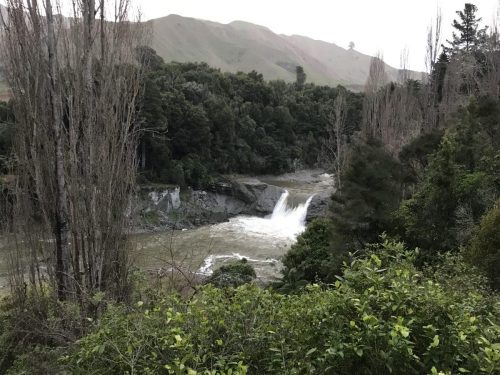 f600fd63-ae9a-4a9d-b8b0-24381a551e61