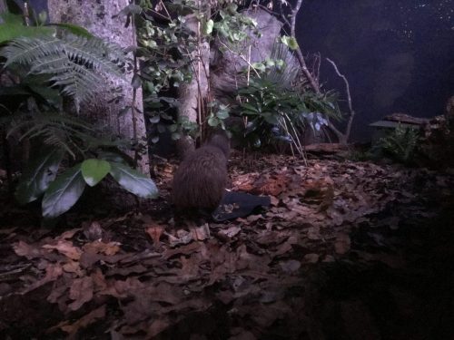 f97b8747-e7a1-48c7-b1d8-6fa9382318ed