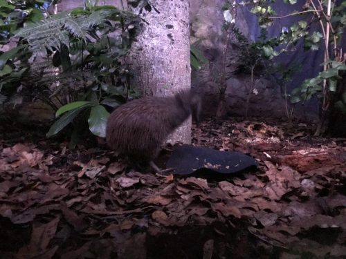 fd8e25eb-7549-4173-a831-e191e0d811cc