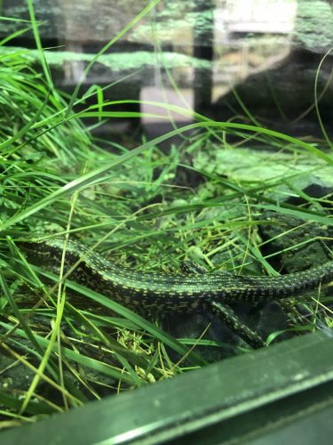 fdddb605-1023-4467-8628-a62fa827abaf