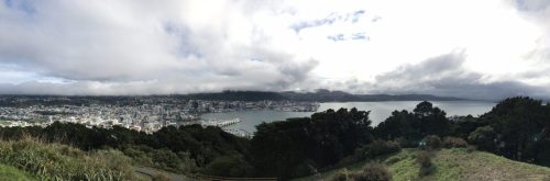 fee608a7-0492-4d35-932f-46b7284d29c6