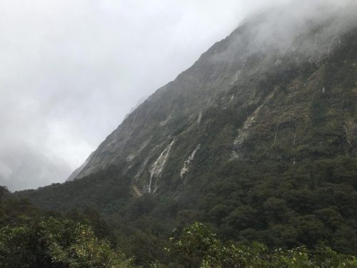 0001c228-ef1a-478a-8beb-fd4b628a339d