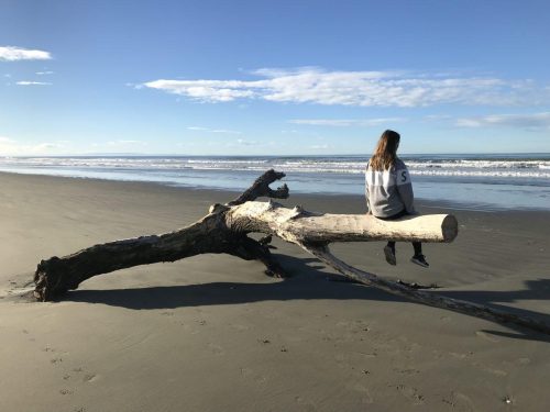 0257263d-d596-4c3b-a31f-c9809e52e618