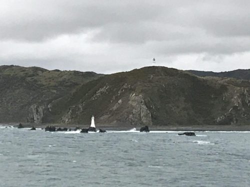 03fb4244-5314-43e3-833a-7828b50ca5ac