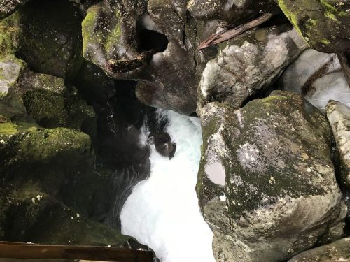 056c77db-270d-46df-afa8-2d1c955863db