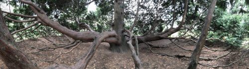 0da179a2-9df9-4e07-bae6-dce36c511ea1