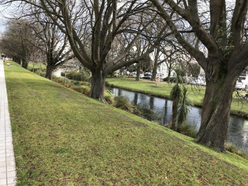 0f88440e-419a-40fd-9598-c43fd455d2ea