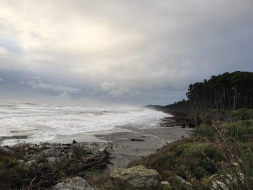 0fee0c75-6ffc-4ecf-8270-a606eb6dd617