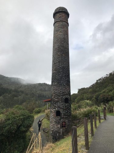 19f80581-44d4-4566-80b7-e21e803cbf05