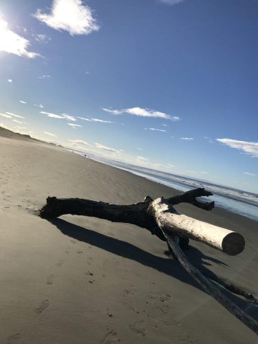 1c5c6bf1-87a6-46c9-a9a3-a960fb265ec2