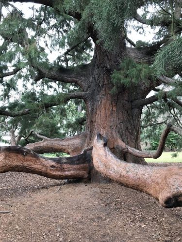 1e90b338-8287-43e3-9791-818c1b668fe4