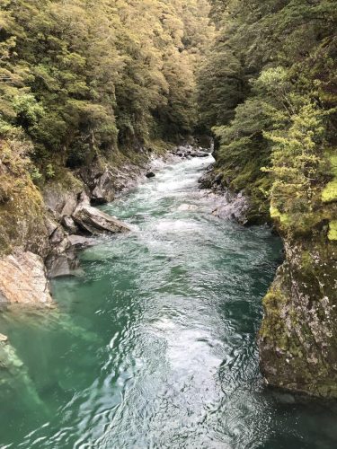 25c1ea3d-173f-4b7a-89da-fec77b32429c