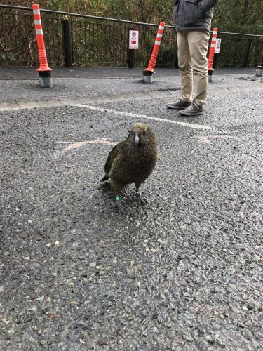 2af11c42-6bf7-470e-bfd3-b4181de6941a