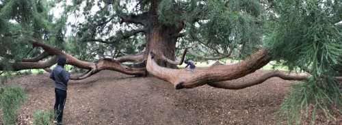 2df0c56c-7063-46d8-a0f0-24bc9eb87e91