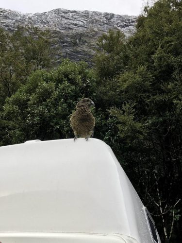 308cbe16-0c57-4b16-98ef-dbef0e8ce96f