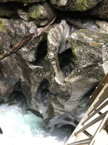 31d0bcbd-da31-4bde-8ba0-06af298f92c8