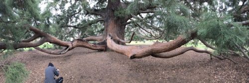 37bcba79-162e-484e-b00f-800ac1fb30ec