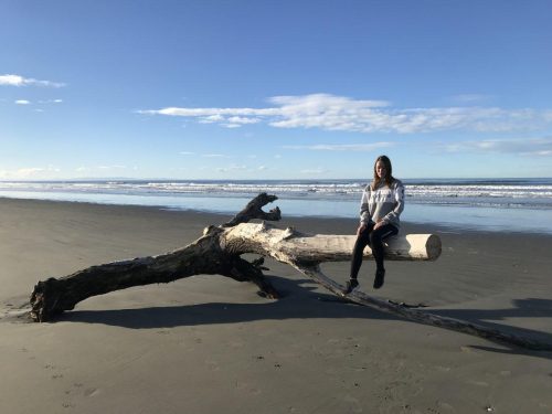 39d0a8d2-22ad-4ed1-a96c-bad4e030cd75