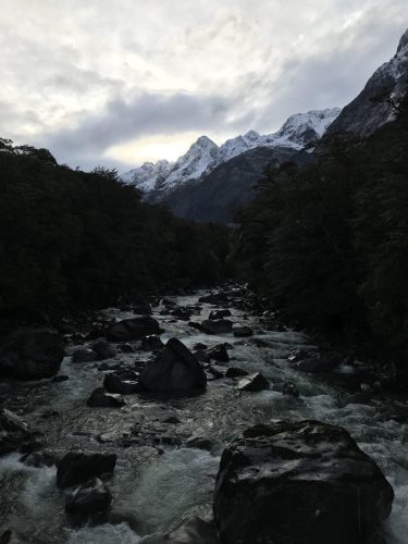 4dfa5233-53ef-4098-905d-0aa551036311