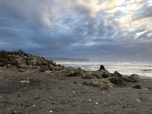 4e148366-4ae6-4597-9335-2b7dc432f496