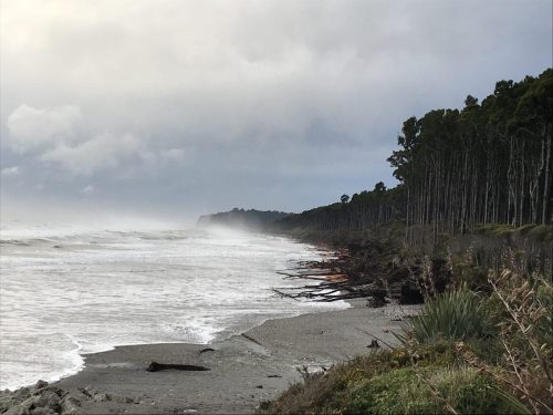 50a5d14f-4812-4591-8928-64a30bef7528