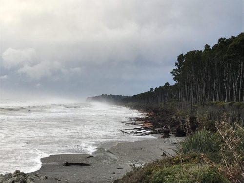 51f4396b-b562-49b9-925c-5178dfa2b74e