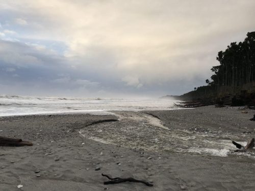 53c83262-fd0e-43f6-90b3-20adbbaaebca