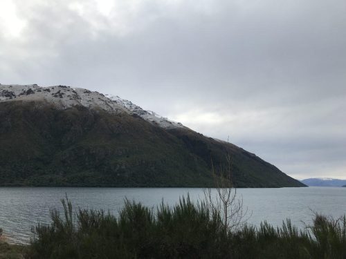 5bde57f7-e64d-4562-bb03-418681b5f481