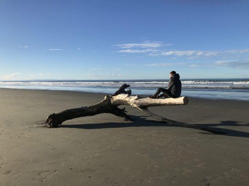 6276170c-1b69-46fe-900b-381f56f813c0