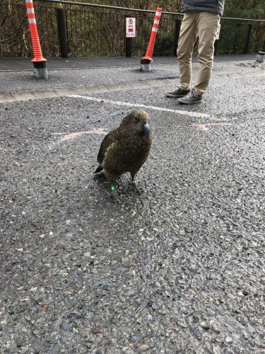 6b096f46-e0e2-4291-afd1-e9a37b226d77