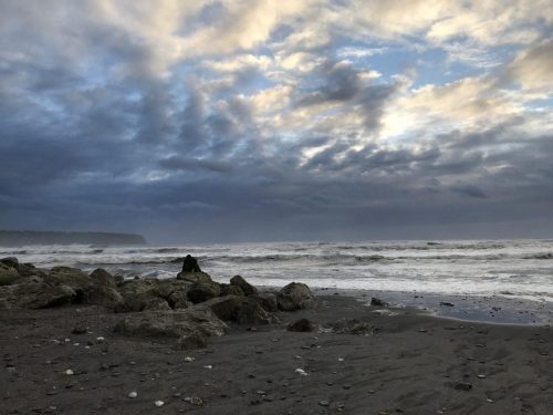 6d23d8aa-8649-4d69-9905-2b869e8b2185