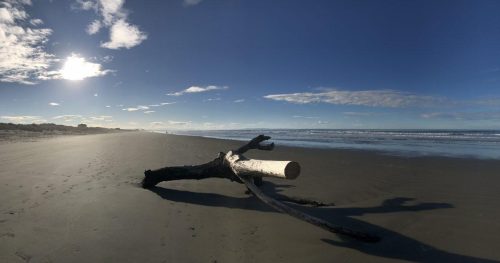 71e13fc2-7568-454a-a3a9-abe5aca8070c